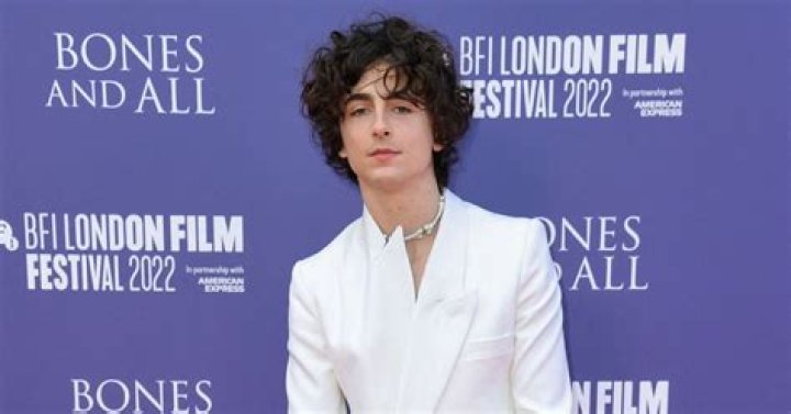 
How Much Money Does Timothée Chalamet Make? Latest Income Salary
